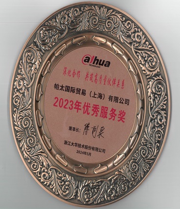 大华优秀服务奖