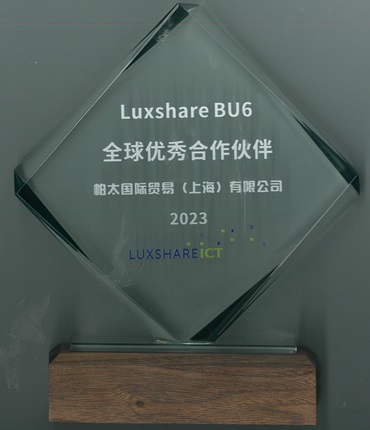 立讯全球优秀合作伙伴