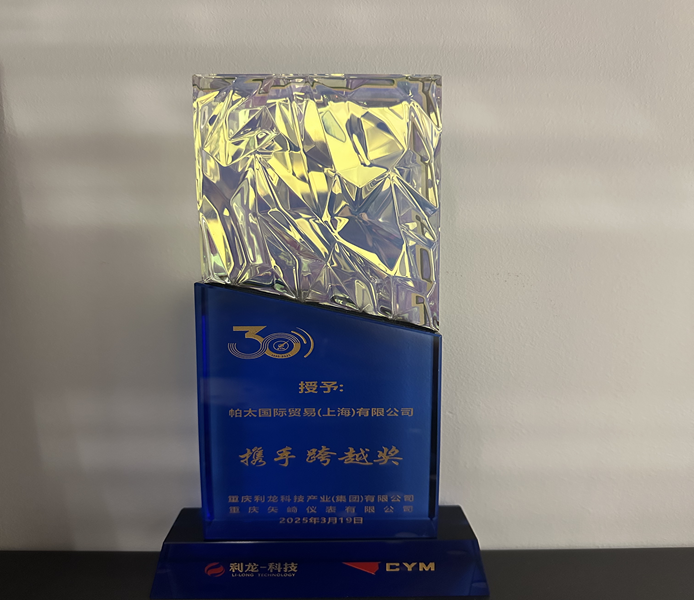 重庆利龙科技产业（集团）内页.png